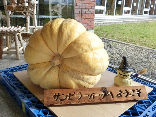 ブログ]おばけカボチャ重さ当てクイズ - 北海道立サンピラーパーク｜名寄市